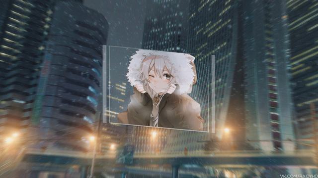 三万平方米的江边“猫国”：600余只流浪猫的避风港与新生